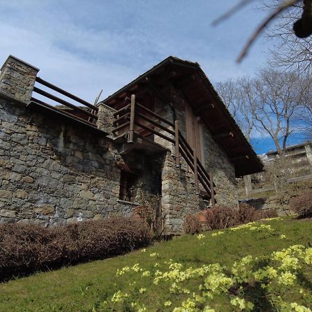 La Mura' - Il Vostro Posto Nel Gran Paradiso Ronco Canavese 外观 照片